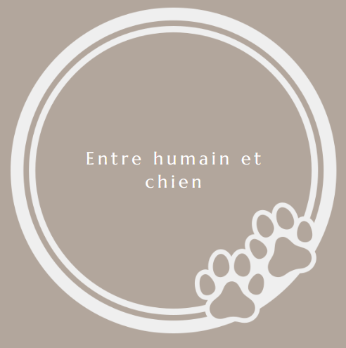 Entre humain et chien
